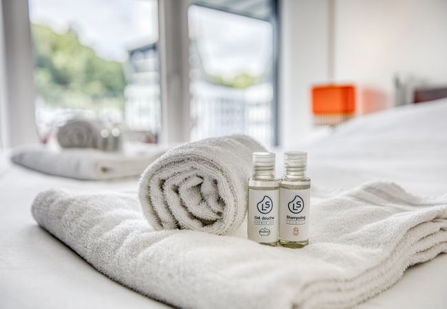 Apartment in Annecy - View point Castle 4* - OG IMMO Apartment in Annecy - View point Castle 4* - OG IMMO