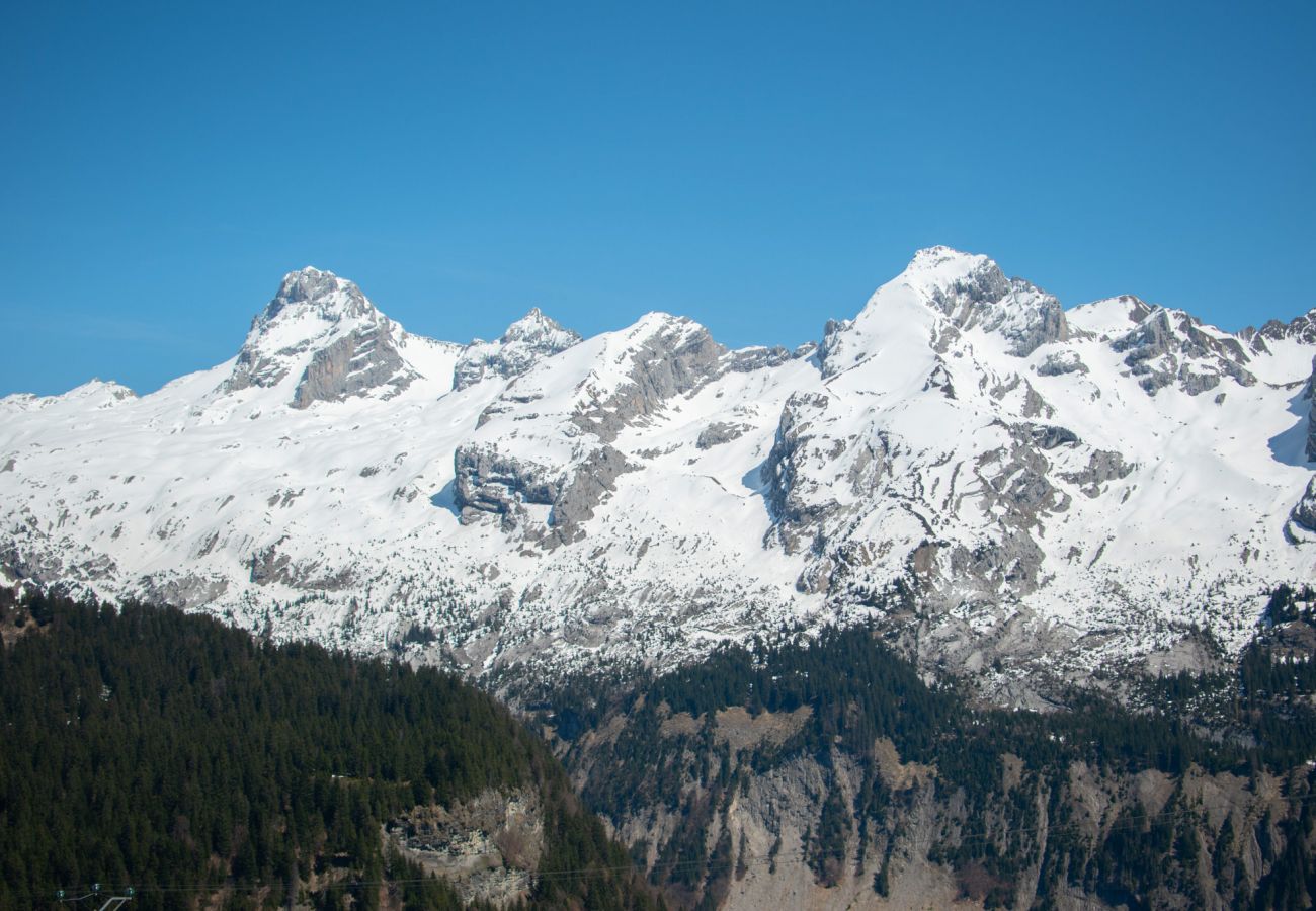 Chalet in Le Grand-Bornand - Alpage 4* la Grand Montagne 1858 - OG IMMO
