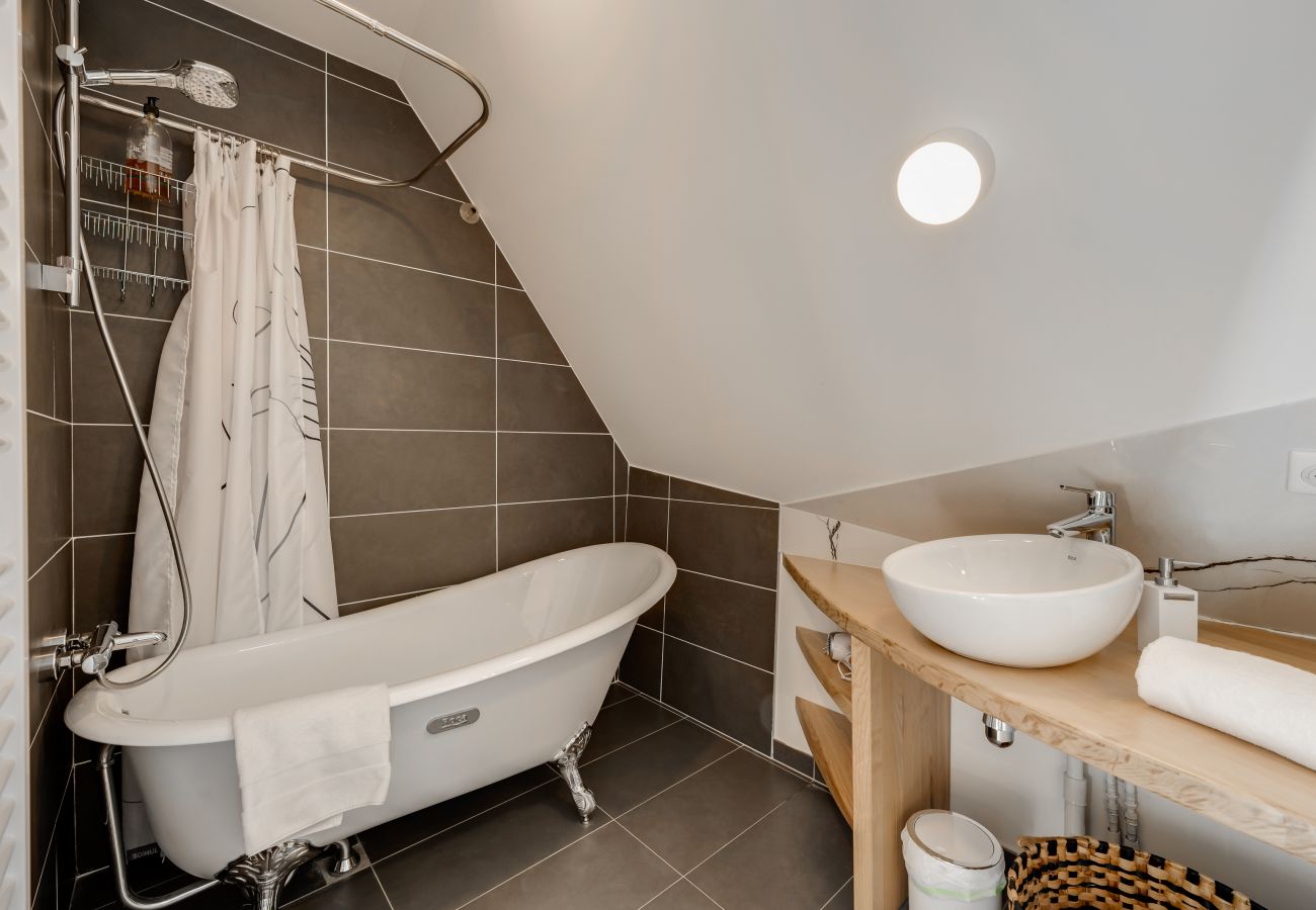 Apartment in Annecy - Le Saphir 5* - Vue panoramique sur le lac d'Annecy