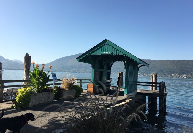 Villa in Veyrier-du-Lac - Wooden Villa 4* Villa in Veyrier-du-Lac - Wooden Villa 4*