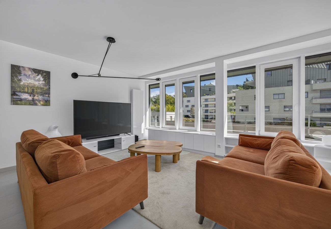 Apartment in Annecy - View point Miracle