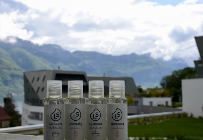 Apartamento en Annecy - View Point Lake and Mountains 4* - OG IMMO Apartamento en Annecy - View Point Lake and Mountains 4* - OG IMMO