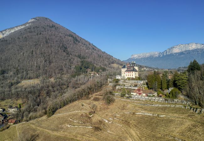 Apartamento en Menthon-Saint-Bernard - Les Côteaux du Château - OG IMMO Apartamento en Menthon-Saint-Bernard - Les Côteaux du Château - OG IMMO