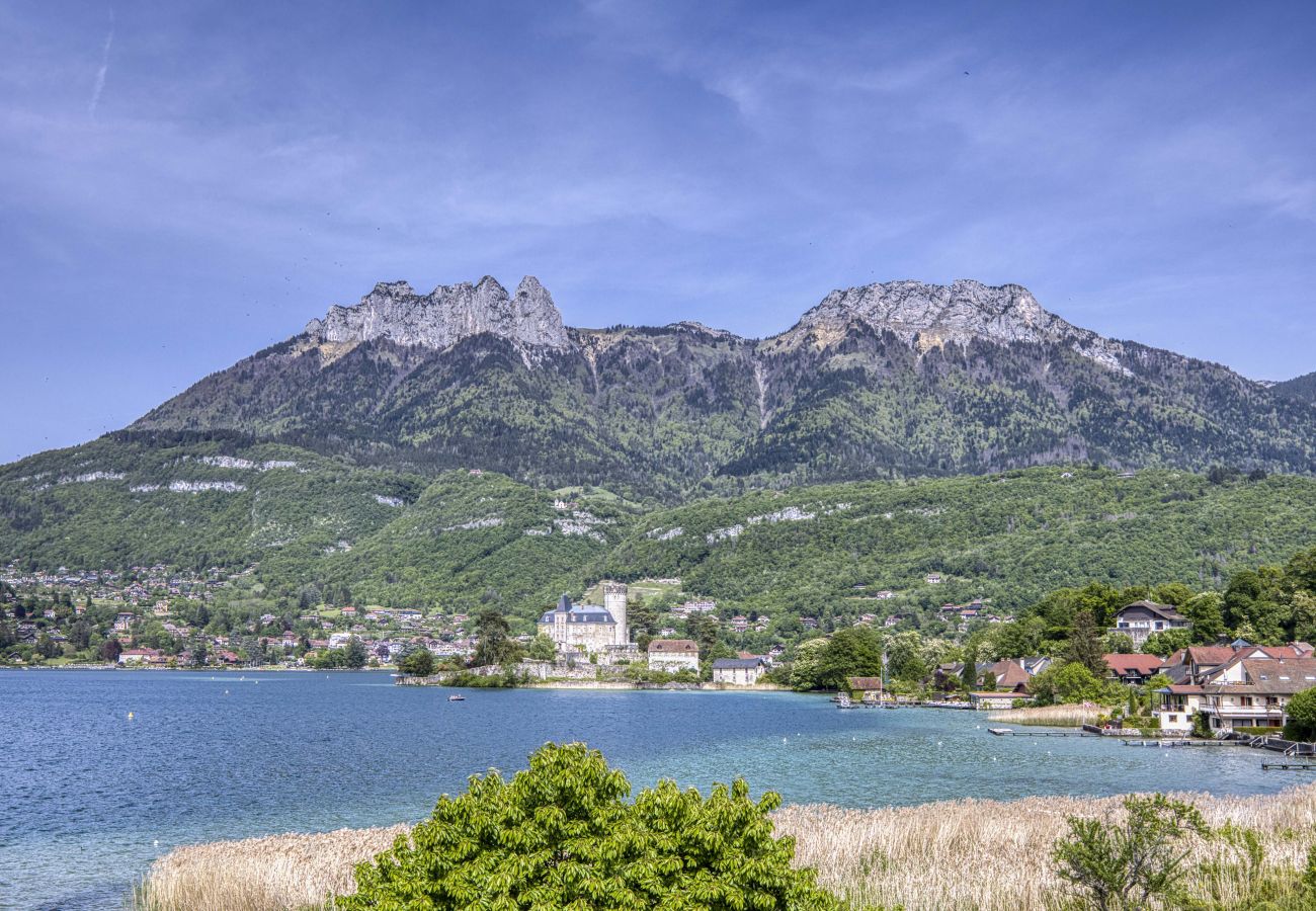 Apartamento en Duingt - Roseaux du château