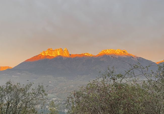 Studio à Duingt - Petit Lac Duingt Lac d'Annecy Studio à Duingt - Petit Lac Duingt Lac d'Annecy