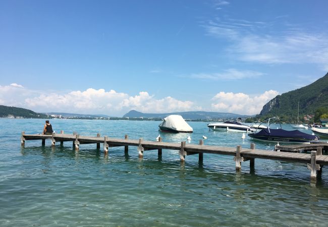 Villa à Veyrier-du-Lac - Wooden Villa 4* Villa à Veyrier-du-Lac - Wooden Villa 4*