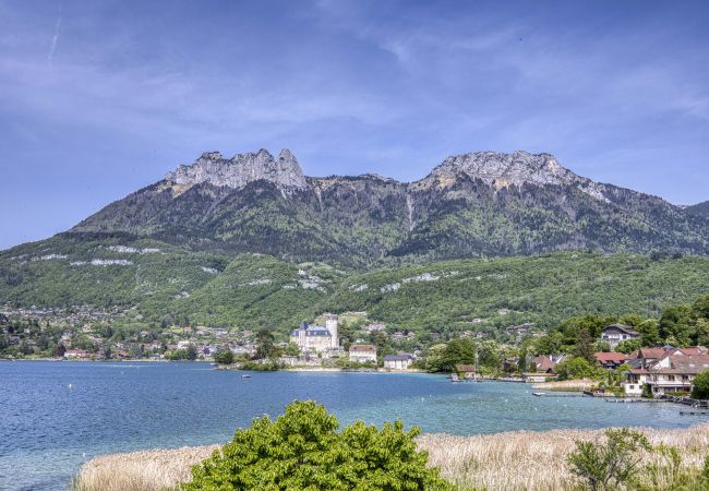 Appartement à Duingt - Roseaux du château Appartement à Duingt - Roseaux du château